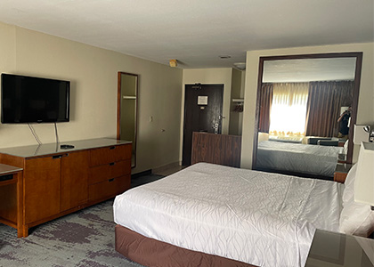 Quiet And Clean Accommodations